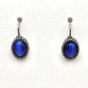 Silver Tone Blue Cat Eye Stone Drop Earrings